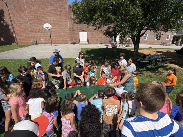 Summer Camp